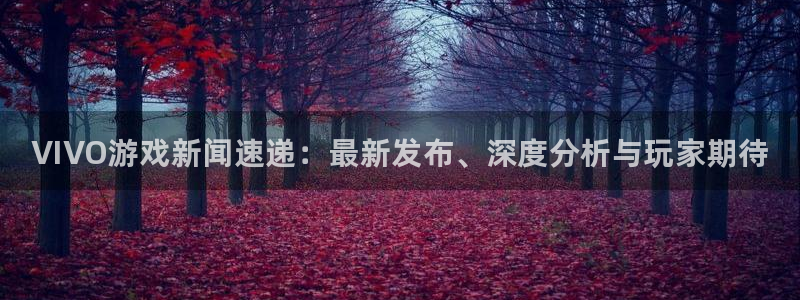 鼎点娱乐平台登录线路