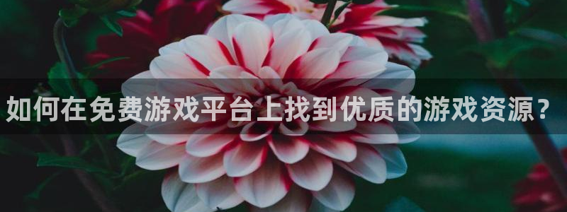 鼎点娱乐网页登录入口下载