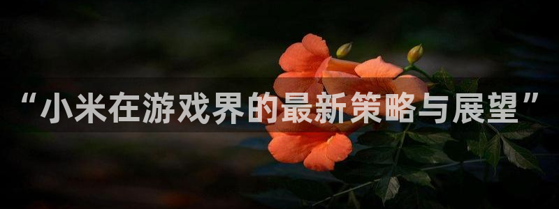 鼎点娱乐开户测速