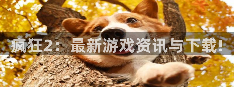 鼎点娱乐登陆测速：疯狂2：最新游戏资讯与下载!