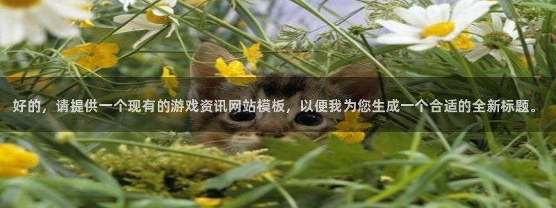 鼎点娱乐网页版地址：好的，请提供一个现有的游戏资讯网站模板，