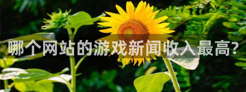 鼎点娱乐娱乐：哪个网站的游戏新闻收入最高?