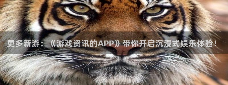 鼎点娱乐注册网站：更多新游：《游戏资讯的APP》带你开启沉浸