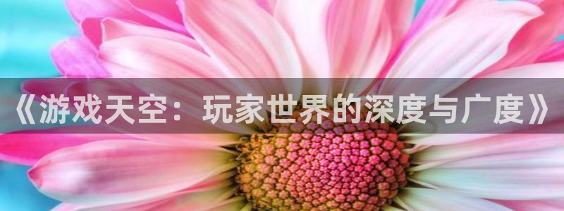 鼎点娱乐官方登录网址：《游戏天空：玩家世界的深度与广度》