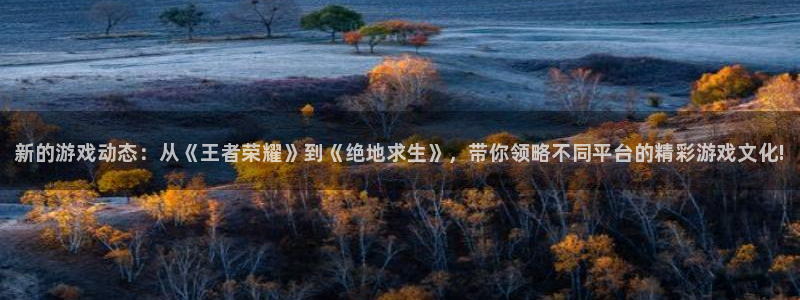 鼎点娱乐注册网站：新的游戏动态：从《王者荣耀》到《绝地求生》