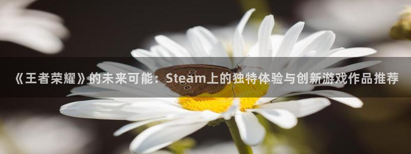 鼎点娱乐登陆测速：《王者荣耀》的未来可能：Steam上的独特