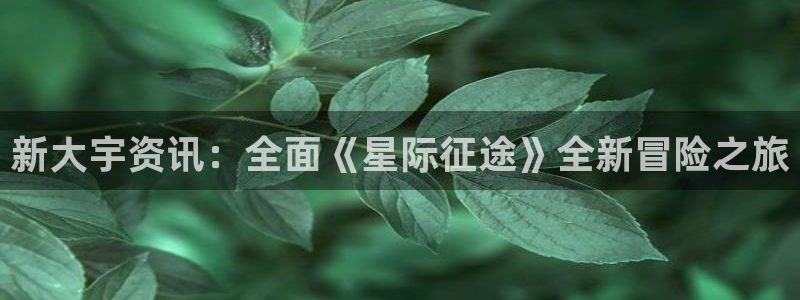 手机版鼎点娱乐客户端下载：新大宇资讯：全面《星际征途》全新冒