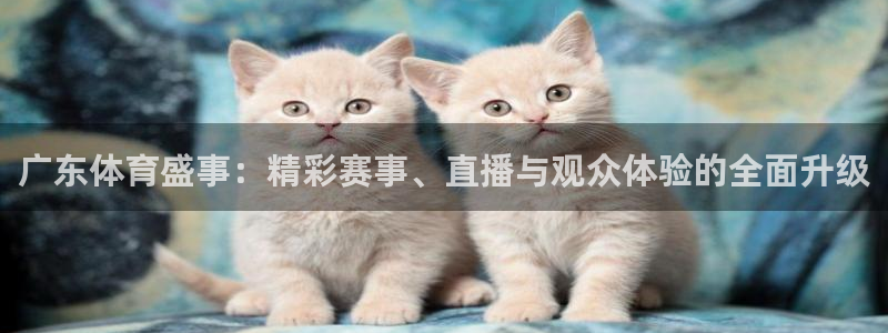 熊猫体育平台：广东体育盛事：精彩赛事、直播与观众体验的全面升级