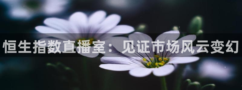 熊猫猫直播：恒生指数直播室：见证市场风云变幻