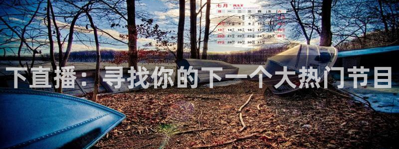 熊猫主题：下直播：寻找你的下一个大热门节目
