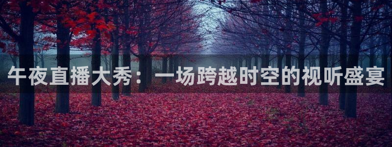 熊猫体育平台直播：午夜直播大秀：一场跨越时空的视听盛宴