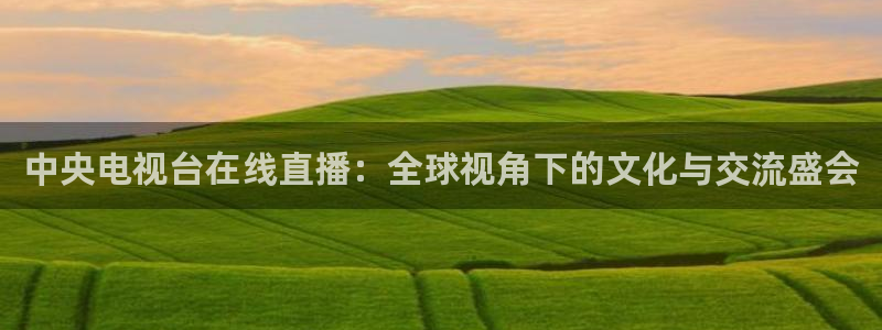 熊猫体育比赛直播：中央电视台在线直播：全球视角下的文化与交流盛会